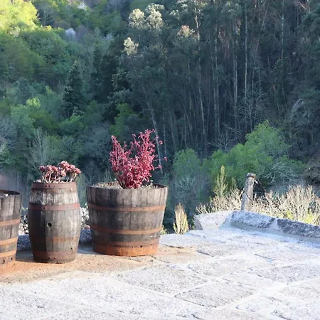 New Rosa Mel - Casas De Campo, Candemil, Serra Do Marao *