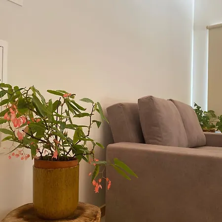 بيت للعطل New Rosa Mel - Casas De Campo, Candemil, Serra Do Marao أمارانتي
